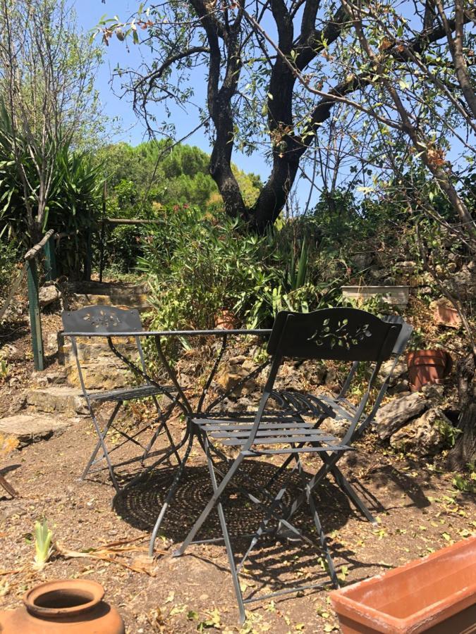 Chez Tatie Menie Bed & Breakfast Fraisse-des-Corbieres Exterior photo